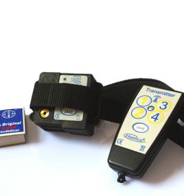 Spraytrainer gebraucht kaufen oder mieten