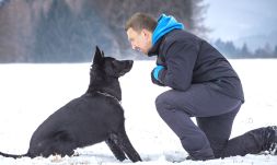 Hundetraining mit dem Erziehungshalsband